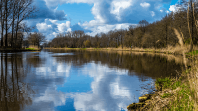 Ratgeber aus Esterwegen