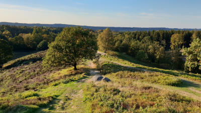 Ratgeber aus Hohenwestedt